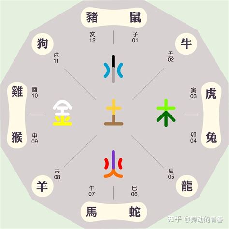 五行 動物|如何区分动物的五行属性？